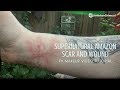 Special Effects Makeup Video Tutorial Supernatural Amazones