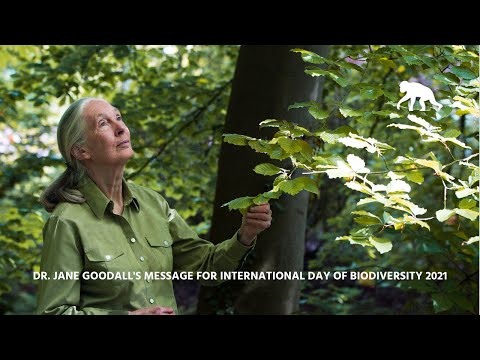 , title : 'Dr. Jane Goodall's Message for International Day of Biodiversity 2021'