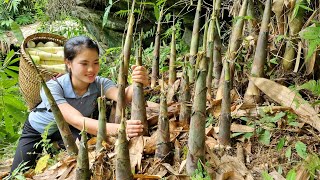 Download lagu FULL VIDEO: 150 Days of Harvesting Taro, Bamboo shoots, Sugarcane, Plums, Eggplants market to sell mp3