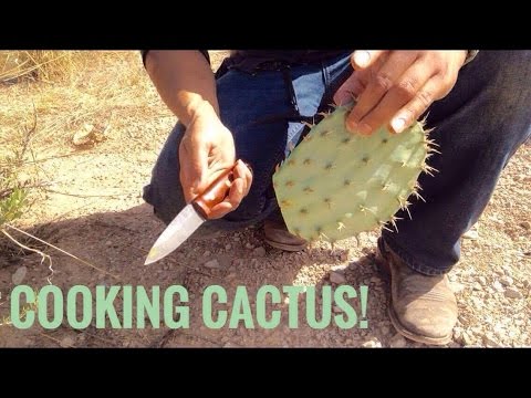 How to eat a prickly pear | Thepickwickclub's Blog