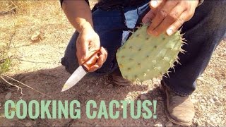 Desert Survival Food: Prickly Pear Cactus (Nopales) -Junkyard Fox