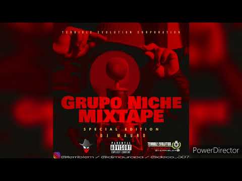 Grupo Niche Mix - Dj Mauro Ft Terrible Evolution Corporation ( Salsa Mixtape) #salsa #sensual #mix