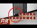 【趣味搞笑】男子门口放满粘鼠板，老鼠轻松拖走溜进屋！ 搞笑 趣味 有趣