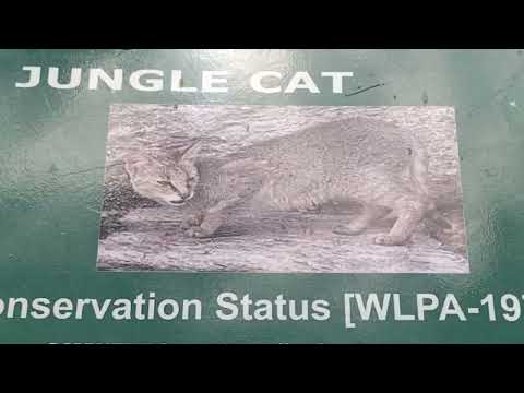 Going to zoo | Bhavya | Sleeply animals