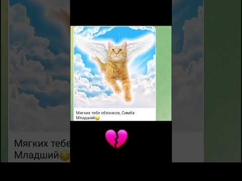 респект #мем #футбол #южныйпарк #спартак