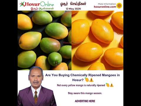 Awareness Raised Over Chemically Ripened Mangoes in Hosur