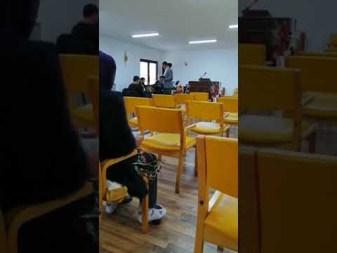 ion de la cermei la seliste