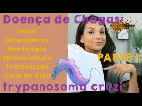 Chagas disease: Trypanosoma cruzi + TIPS FOR YOUR PRACTICAL EXAM | Part I | PARASITOLOGY #2