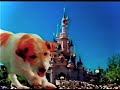 Honey I Shrunk The Audience Eine Neue Attraktion Aus Disneyland Paris