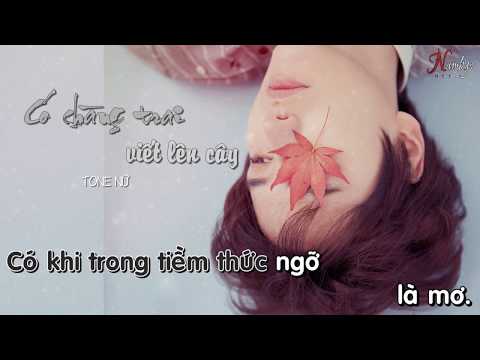 Có Chàng Trai Viết Lên Cây KARAOKE TONE NỮ | Hà My cover OST Mắt Biếc| Namkyo Beat