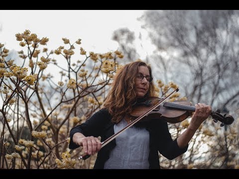 Promotional video thumbnail 1 for Sandy Herrault, Violinist