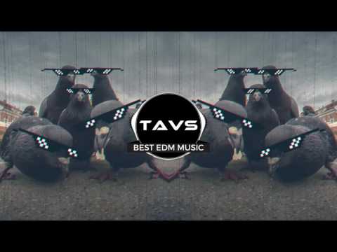 MIloMilo X Adgel - Causando Problemas