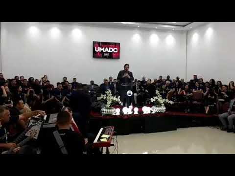 Coral pilares (UMADC 2020)