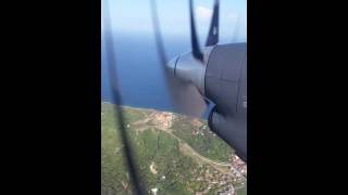 Cornucopia - Circle of Clowns @ Roatan Island, Honduras