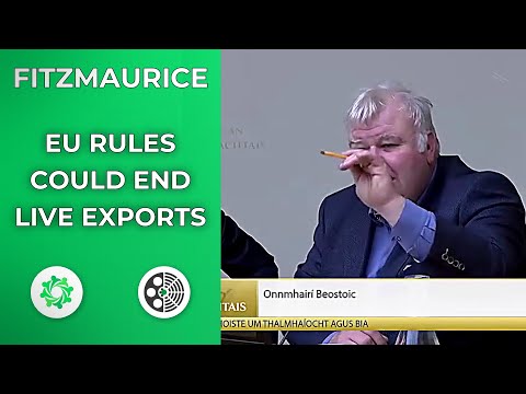 Michael Fitzmaurice: Warns EU Rules Could End Live Exports