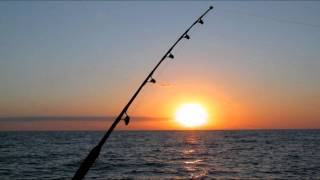 Full Devil Jacket / Blue Green Day -