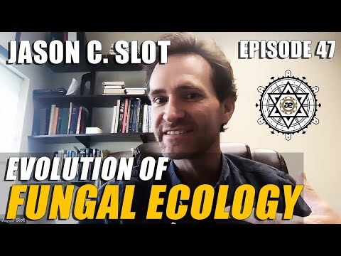 Evolution of Fungal Ecology with Jason C. Slot | EP47 @wetheaether Video