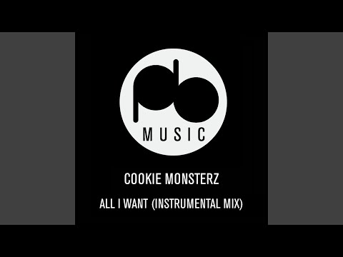 All I Want (Instrumental Mix)