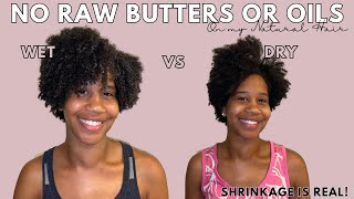 Natural Hair Detox: Week 20 of No Raw Butters & Oils | Setting my Curls | Gabrielle Ishell