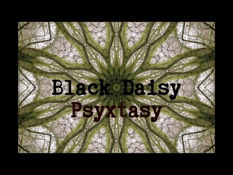 Psyxtasy -  All I See is You  (psychill mix)