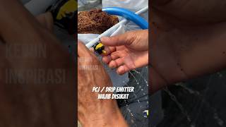 Download lagu Pembersihan pcj / drip emitter pada irigasi kebun melon mp3