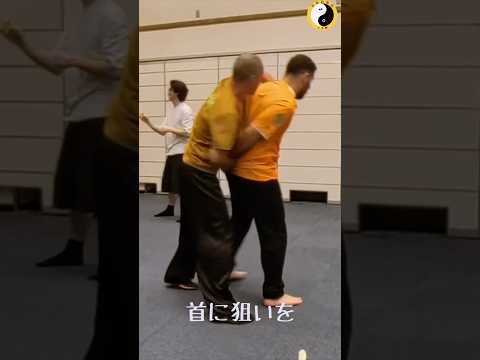 #林隆志 #自然門 #Ziranmen   #CQC #近接戦闘 #崩し技 #体術 #護身術 #間合い #重心操作 #martialarts #selfdefense