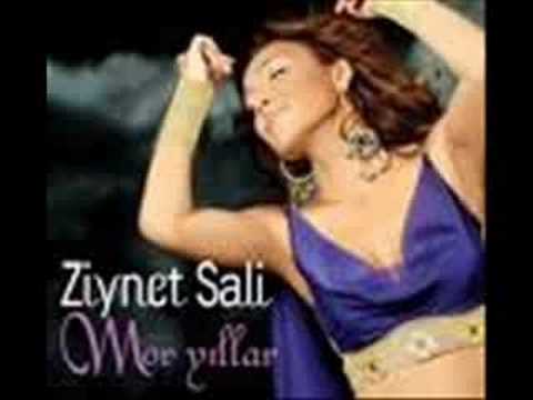 DJ Mega vs.Ziynet Sali - Neyse(Remix) www.djmega.be