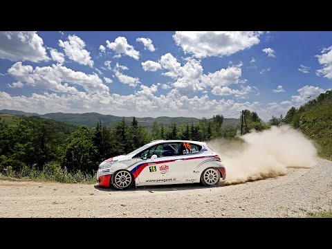 Rok Turk - Enej Ložnar (Peugeot 208 R2) : 37. rally Saturnus 2014 - best onboard moments