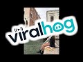 Seagull Snags A Slice Of Pizza ViralHog