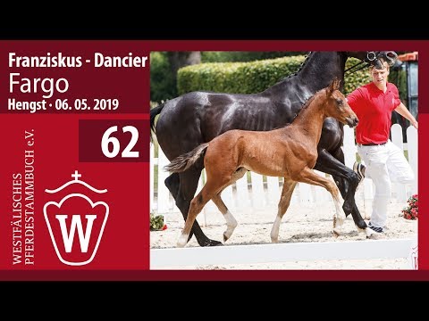 62 Fargo Hengst v. Franziskus - Dancier