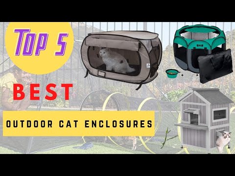 5 Best Outdoor Cat Enclosures ( Buying Guide )