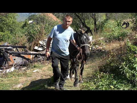 Invalidu  požar u trenu odnio garažu, automobil ,drvaru i kokošinjac sa kokošima-