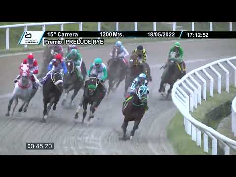 220518 c15  - NUMBERONE -  HIPODROMO LAS PIEDRAS