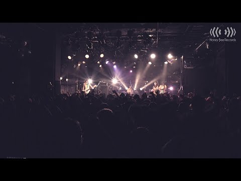 Chelsy LIVE DVD「Chelsy LIVE 2017 〜ちぇる子とちぇる男のカーニバル始めちゃうんだツアー〜」  一部公開