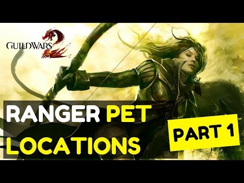 Guild Wars 2 Ranger Pet Locations - Part 1 - GW2 Base Game Pets