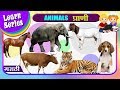 प्राणी Learn Animals In Marathi Nursery Rhymes Preschool Learning For Kids