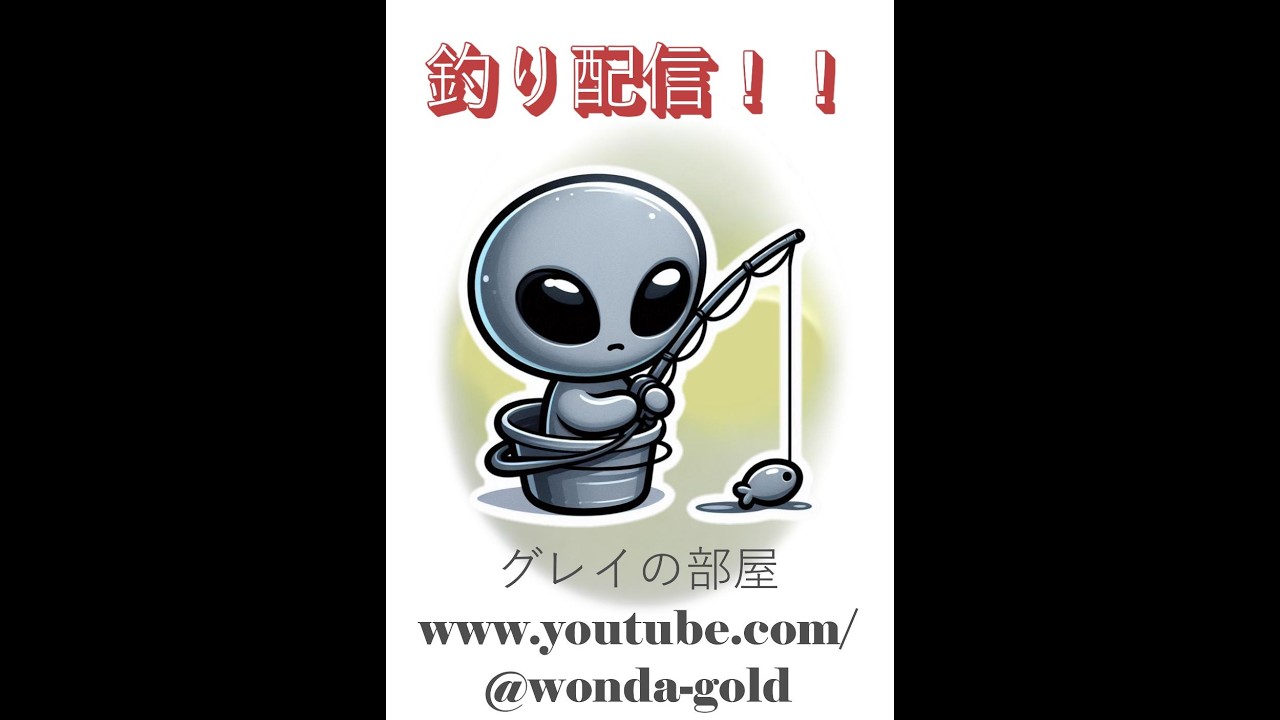 【メバル釣り】ライブ配信になります。