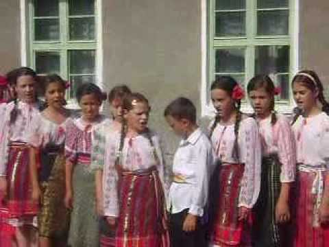 SERBARE BURDUSACI iunie 2010 004_1.flv