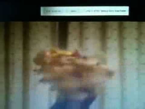 האקסטה של תמרה