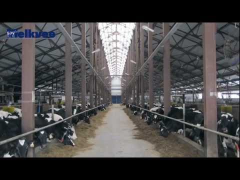 , title : 'Gigantische melkbedrijven in Rusland'