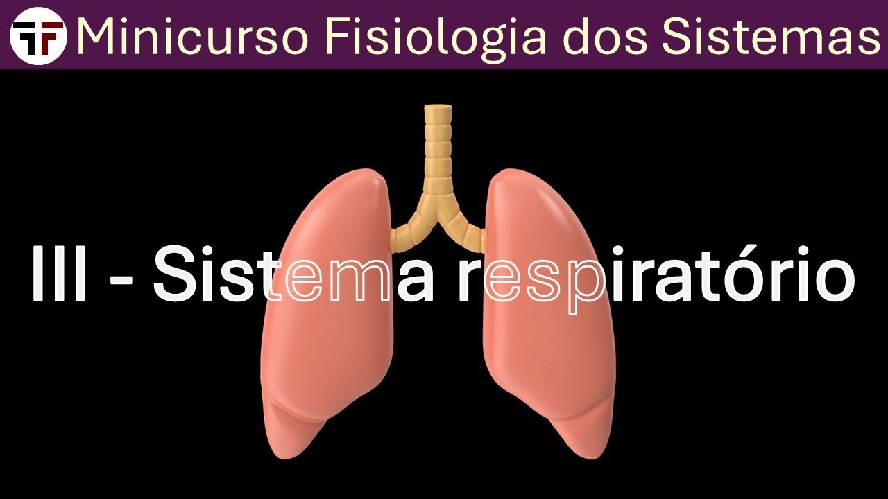Fisiologia Respiratória - Minicurso Fisiologia dos sistemas