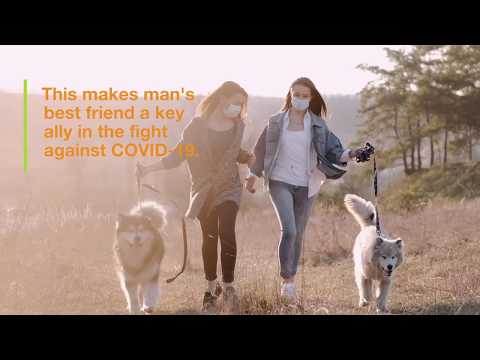 Man's best friend helps in fight against COVID-19