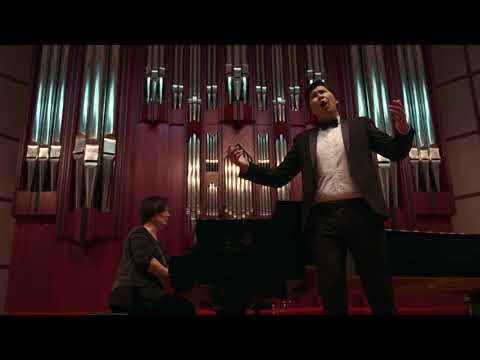 Чайковский романс "Нет, только тот, кто знал"