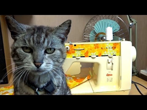 1974 Retro Singer Genie (Starlet) 354 Sewing Machine - Overview and Assessment