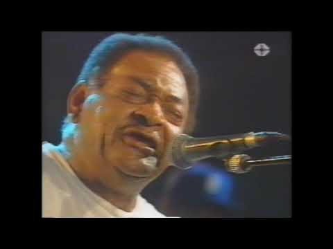 Junior Kimbrough -  Bellinzonia Blues Festival 1993