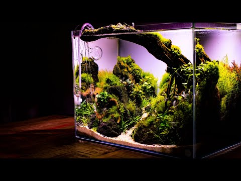 HOW TO: Make an Aquascape -Nano Aquascape Tutorial - Step by Step GUIDE Building a CONTEST Aquascape