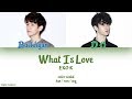 EXO K 엑소케이 What Is Love Color Coded Han Rom Eng Lyrics