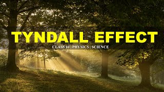 Tyndall Effect | Human Eye and Colorful World | Class 10 | Science | Physics