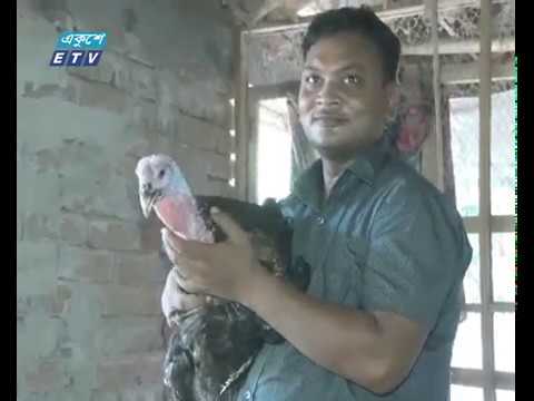 মেহেরপুরে সমন্বিত খামারে ঘুঁচছে বেকারত্ব