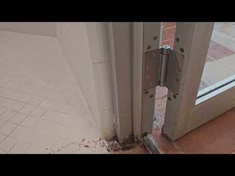 Shower Room Infested with Ants in Dunellen, NJ